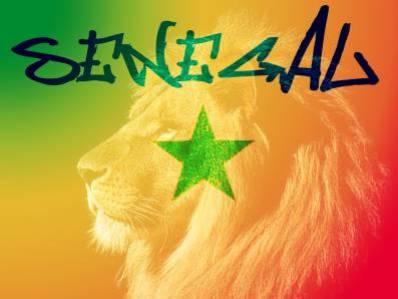 c le lion du galsen matte leeeeeeeeeeeee